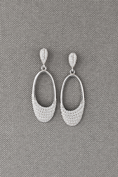 Gorgeous CZ Earring