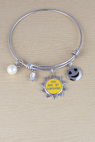 You are my sunshine Charms Bracelet